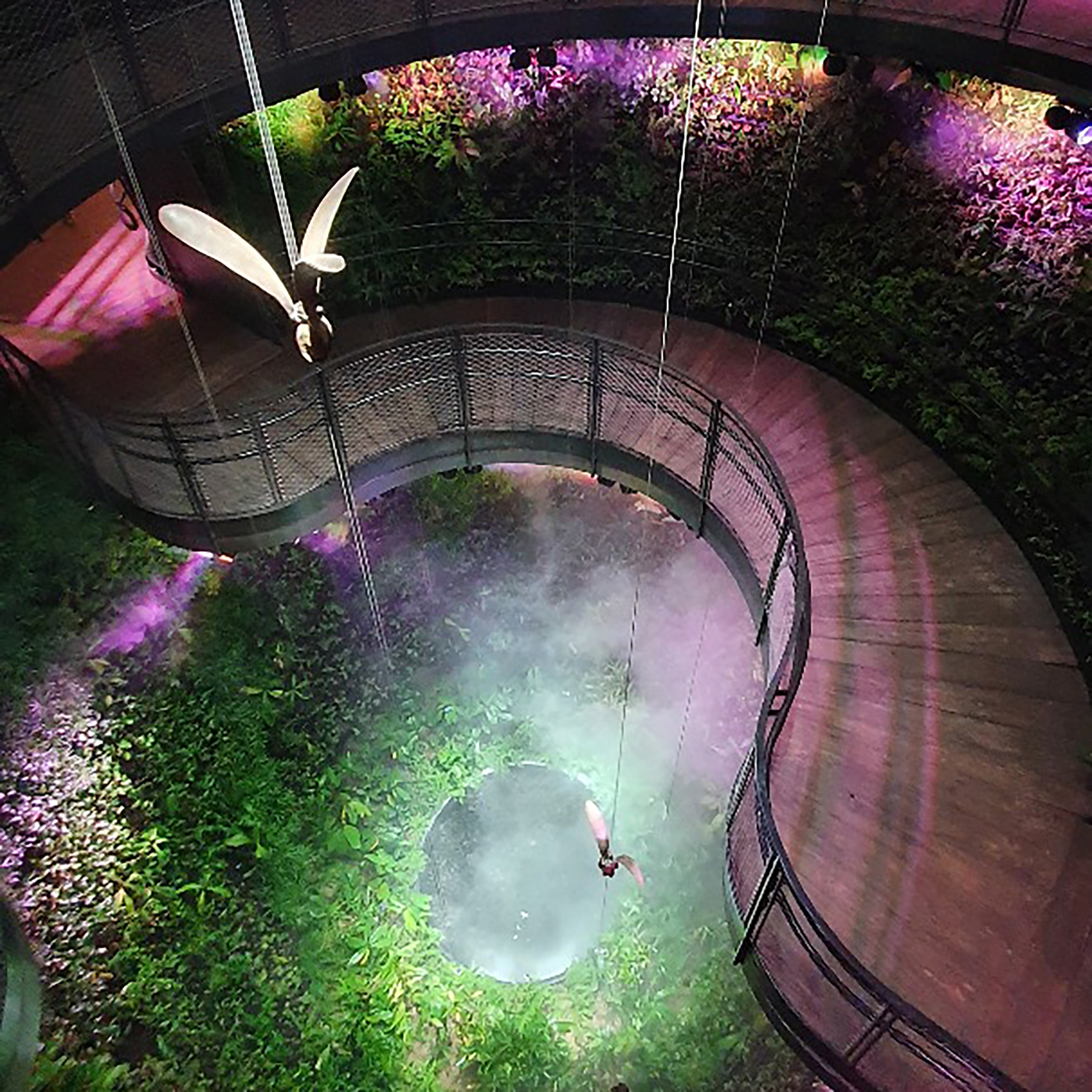 Dawsons were appointed as the Architect of Record and Lead consultant for the award-winning Singapore Pavilion for Expo 2020 held in Dubai.