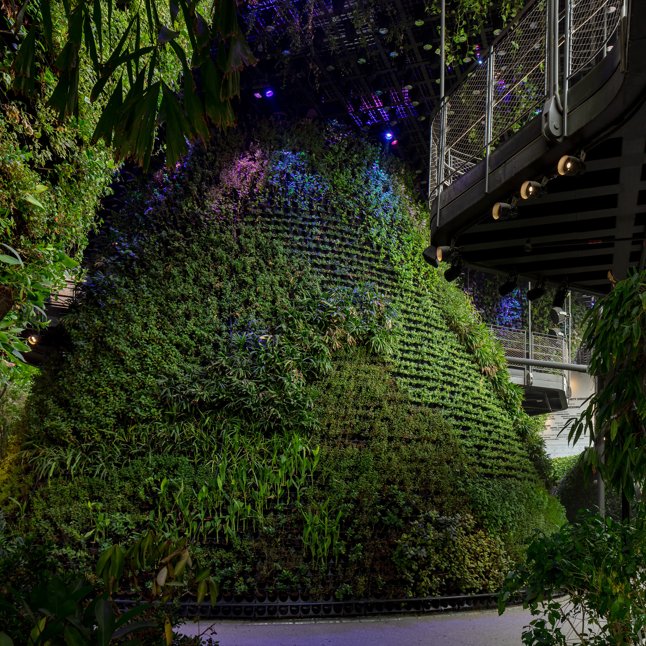 Dawsons were appointed as the Architect of Record and Lead consultant for the award-winning Singapore Pavilion for Expo 2020 held in Dubai.